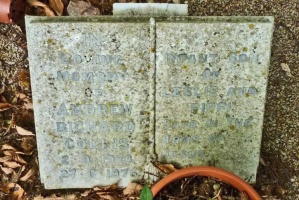 Collins - St John’s Church cemetery