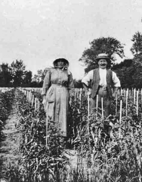 File:TomatoGrowers.jpg