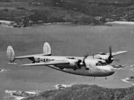 Flamingo over Noirmont