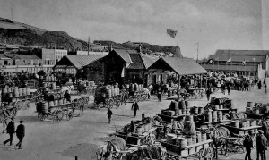 A queue of potato carts