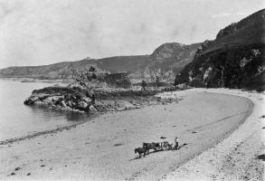 A horse and cart on the beach