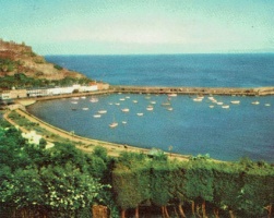 Gorey