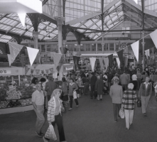 1982 - Jersey Evening Post photograph