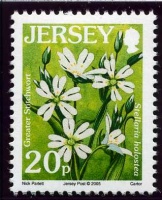 Wildflower definitives