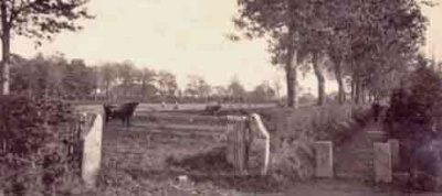 A country scene in 1904