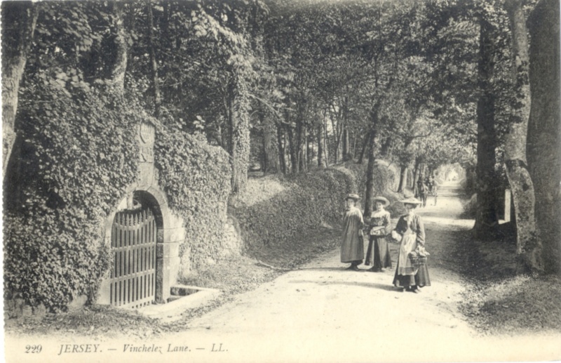 File:LLPostcard229a.jpg