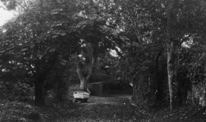 Mr George Le Ray`s boat overwintering above Belcroute slipway, 1921. In the background, Le Guet or Le Dget in Jerriaise, was the rocky, treed, knoll overlooking the sea, which had, at its highest point, a militia guard house and sentry post