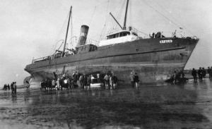 Islanders flock to see Atala stranded on the beach