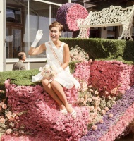 1967 - Shirley Knowles