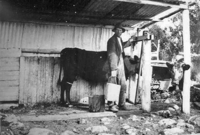 Reuben James Buesnel on his farm in New South Wales