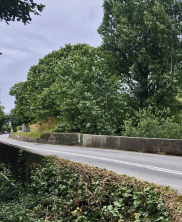 St Peter's Valley bridge