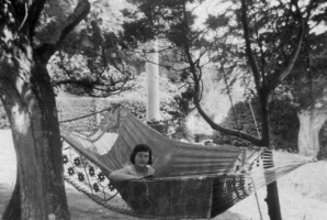 The hammock, slung between the juniper and the prunus