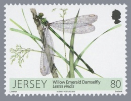 Dragonflies and Damselflies