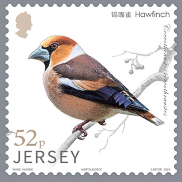 File:Stamp2019bv.jpg