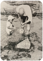 Herbert Nicholson Picot