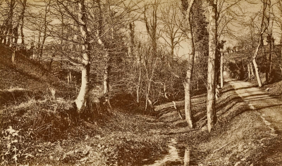 Photograph by Albert Smith