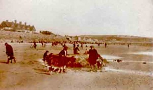 The beach at West Park