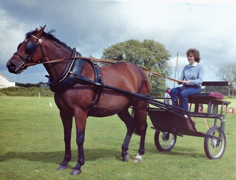 File:TP21HorseDrivingStMary80sBarryRoche1.jpg