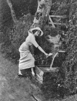 Chemin des Moulins abreuvoir