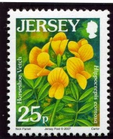 Wildflower definitives