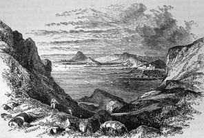 A 19th century etching