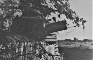 A gun defending the Airport