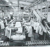 Jersey Royal canners at Five Oaks in 1971