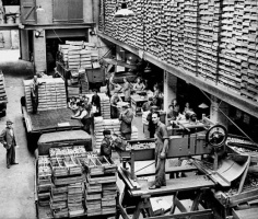 Tomato packing in 1956