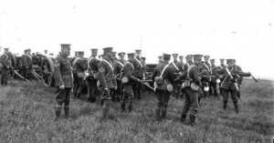 Militia guns on Glacis Field, picture by Percival Dunham