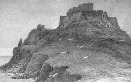 Seagulls over Mont Orgueil