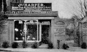 James Harper ran Springfield Nursery at 2 Trinity Road in the 1890s