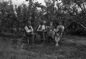 Pallots in the family farm orchard