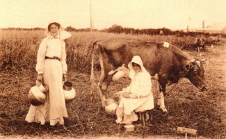 Milkmaids