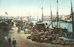 A busy time on the Albert Pier during the potato season