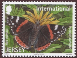 Butterflies and moths