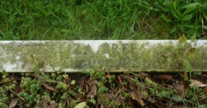 Mont a l’Abbe cemetery