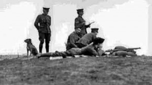 Rifle practice at a Grouville Common camp photographed by Edwin Dale