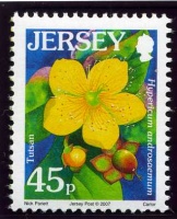 Wildflower definitives