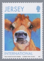 Jersey cow