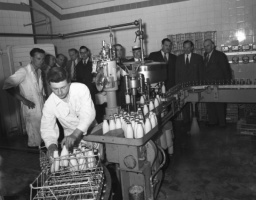 In 1952 Tanguy's Dairy reintroduced bottled milk - the first time this had happened in Jersey for 11 years