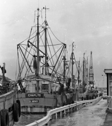 Fishing boats on the Albert Pier