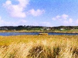 St Ouen's Pond, or La Mare au Seigneur