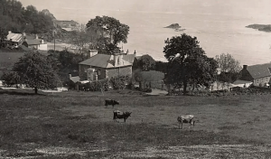 The original Anne Port farm