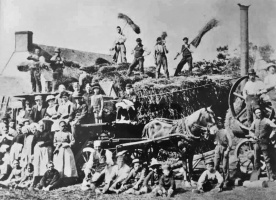 Threshing 1890
