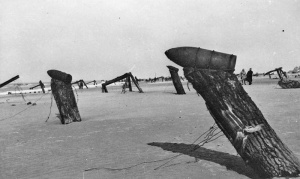 ... others had shells