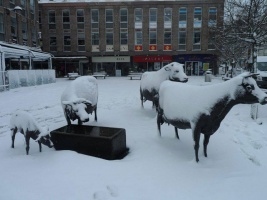 West's Centre in 2013