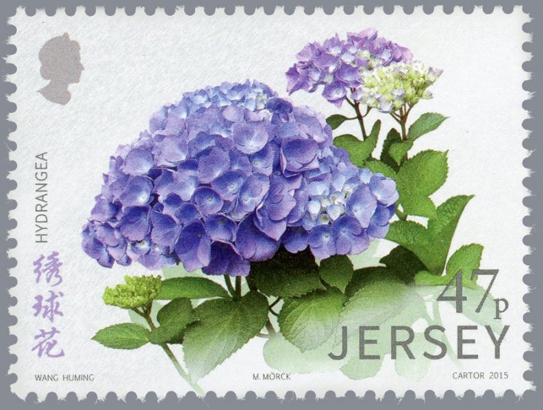 File:Stamp2015cf.jpg