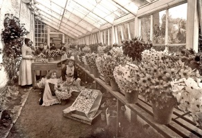The greenhouse at Sion Hall