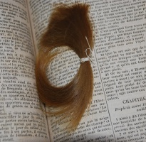 A lock of Elizabeth Dinia Samson's hair