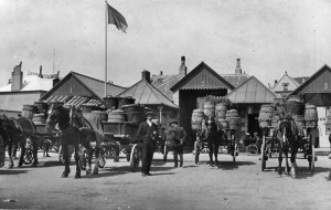 Photograph by Edwin Dale